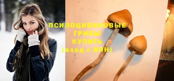 Альфа ПВП Горнозаводск