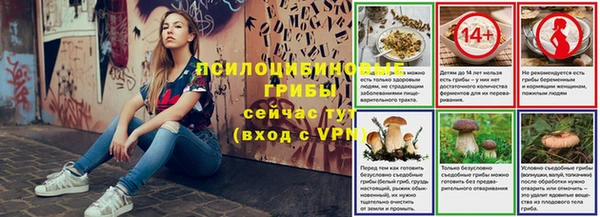 Альфа ПВП Горнозаводск