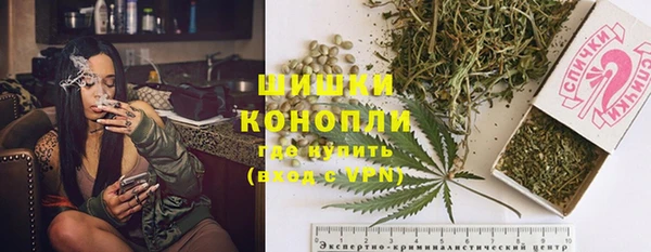 Альфа ПВП Горнозаводск